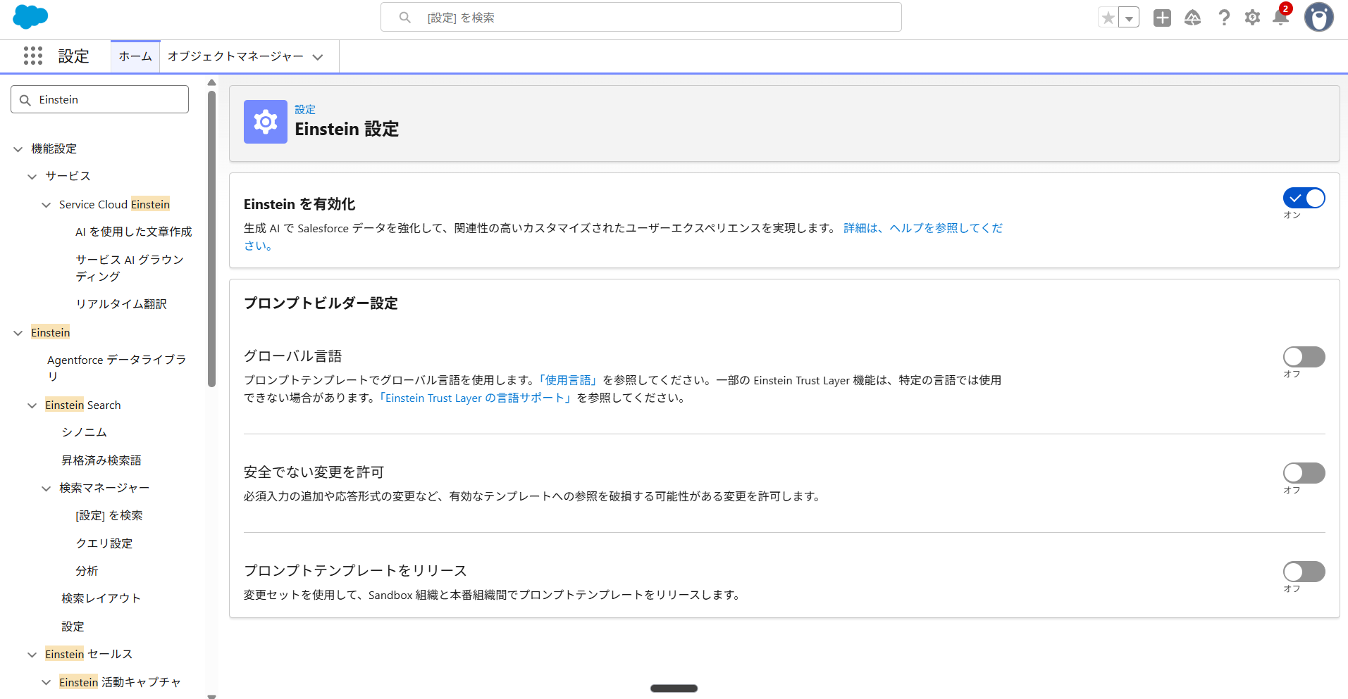 Einsteinを有効化